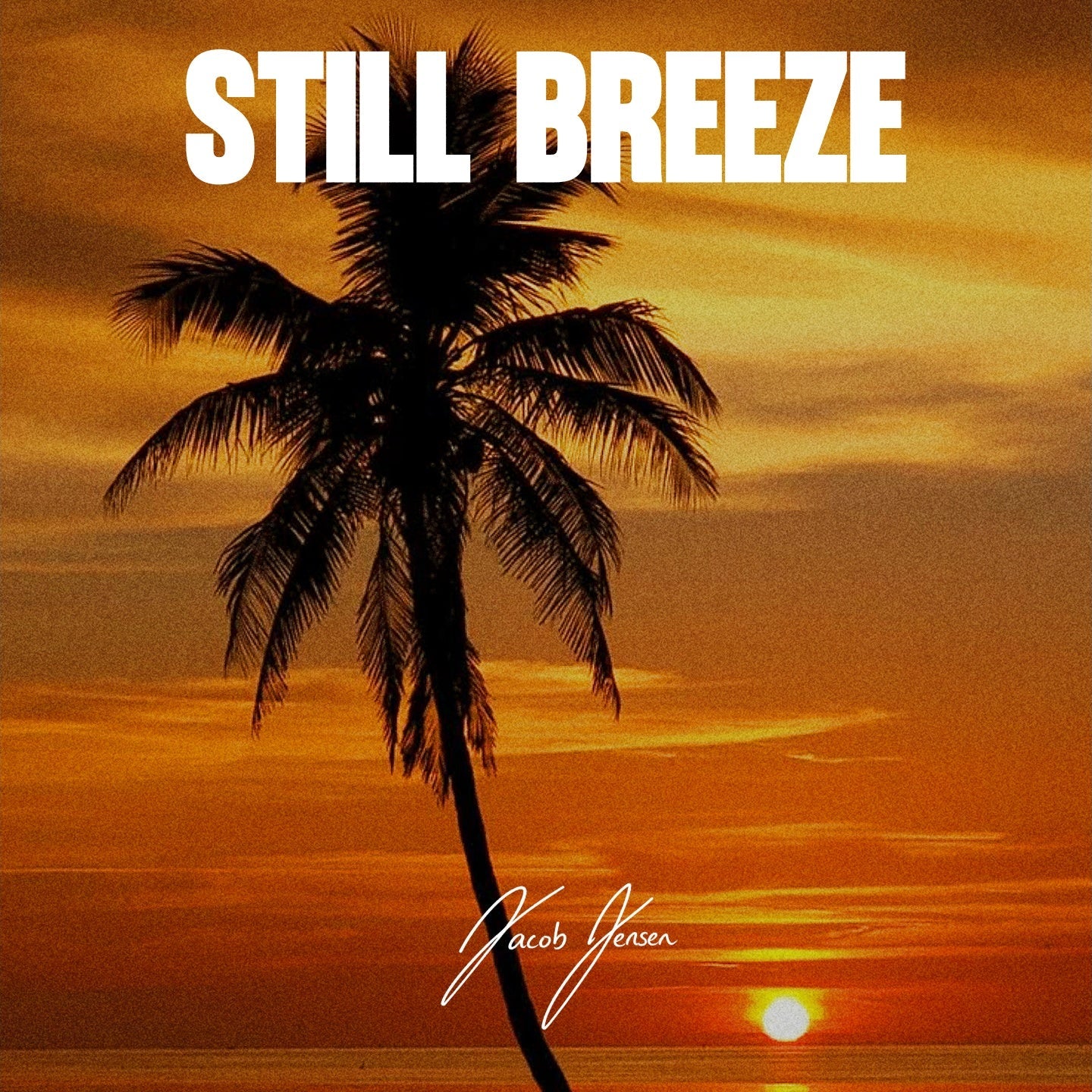 (Afro) Still Breeze