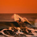 (Island Reggae) Day to Day