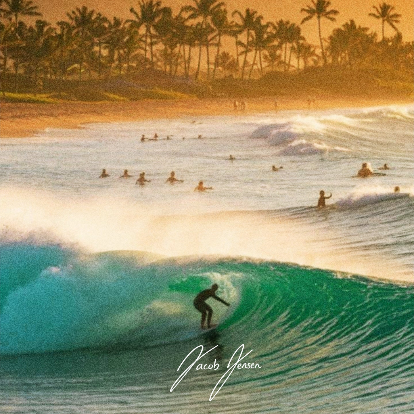 (Island Reggae) North Shore