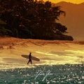 (Island Reggae) Ticket 2 Paradise