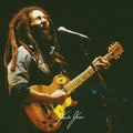 (Reggae) Little Lion