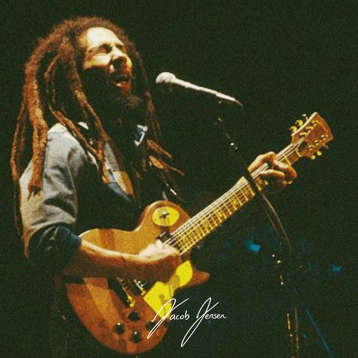 (Reggae) Little Lion