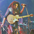 (Reggae) Patience in Tribulation