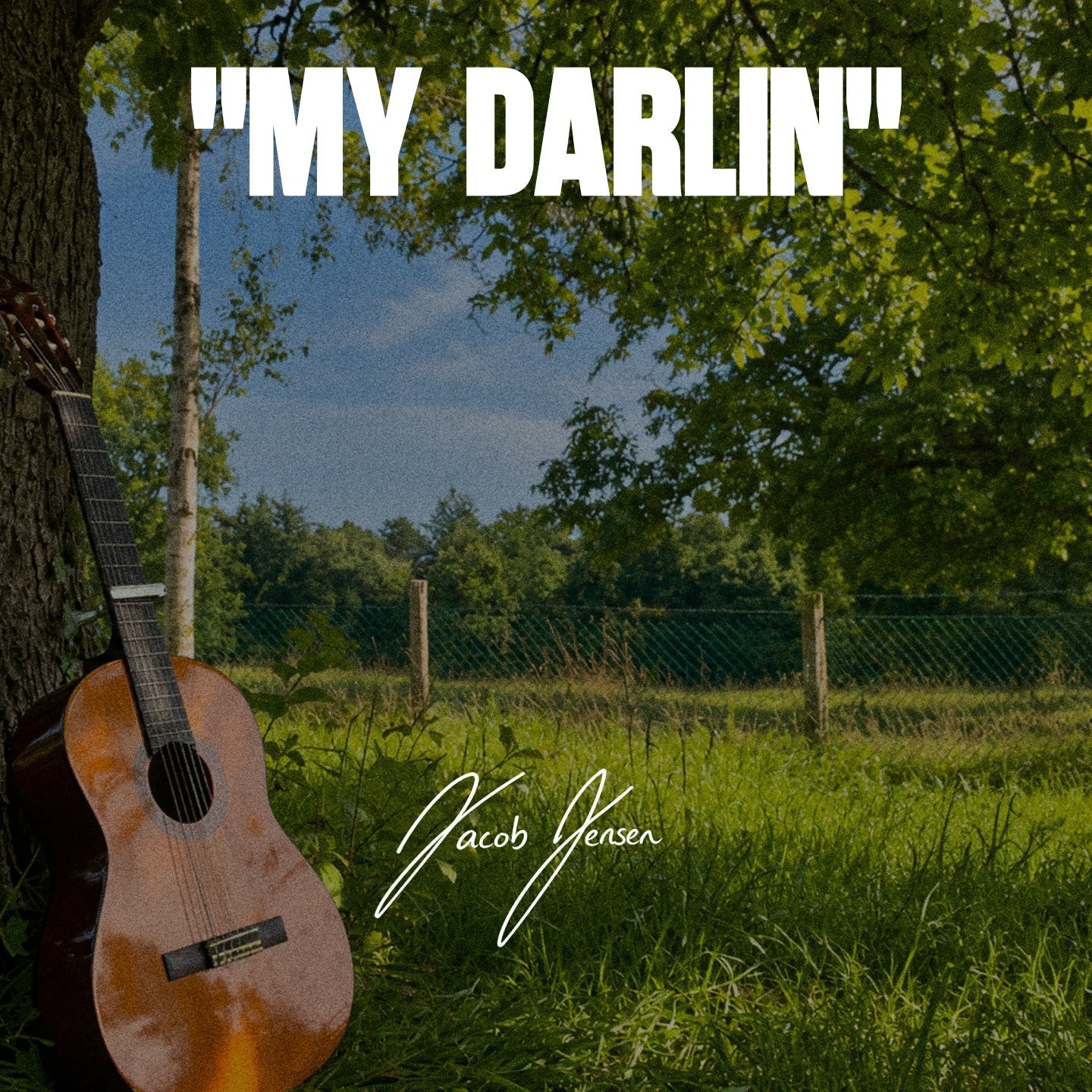 (Country) My Darlin