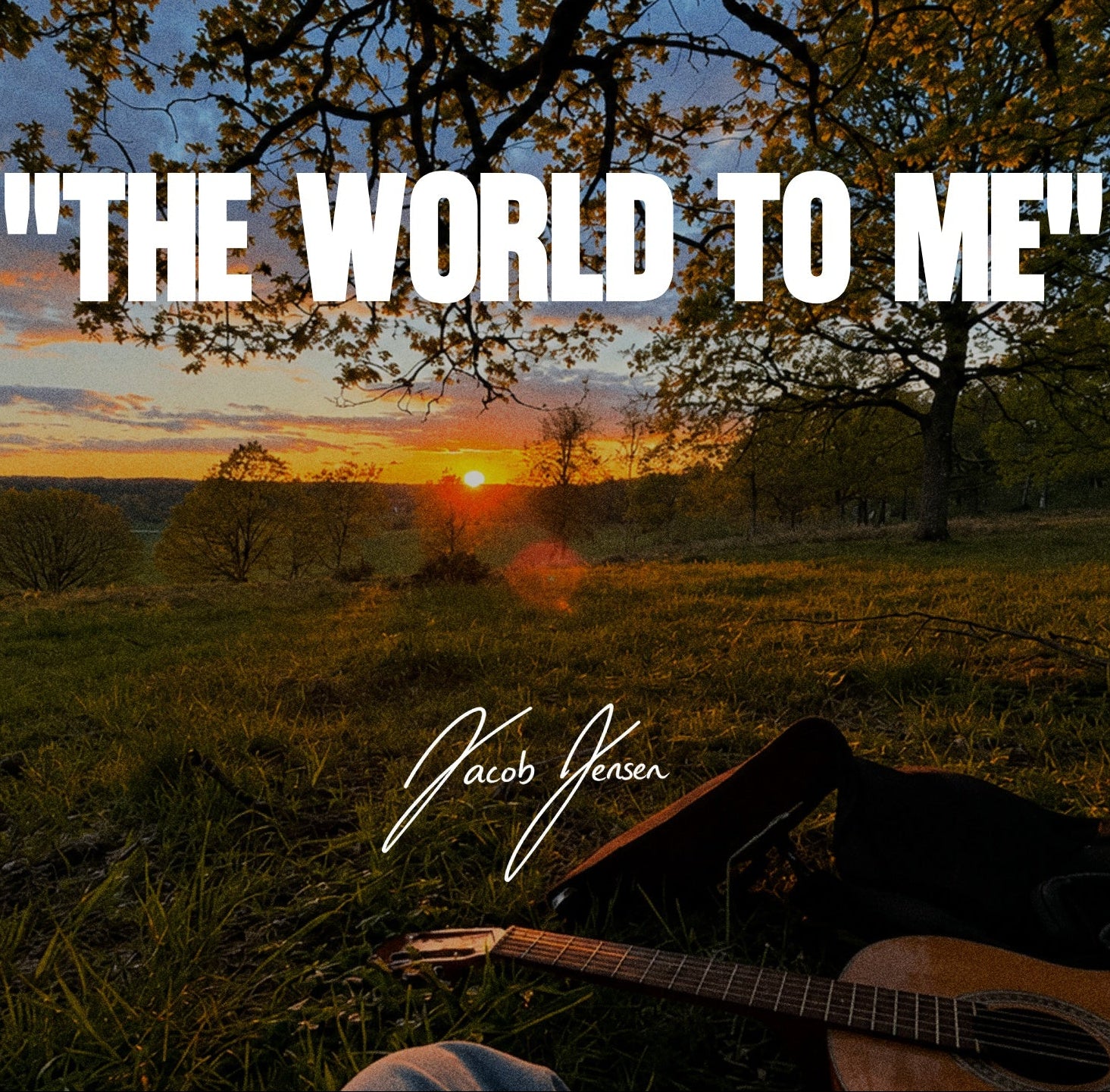 (Country) The World to Me